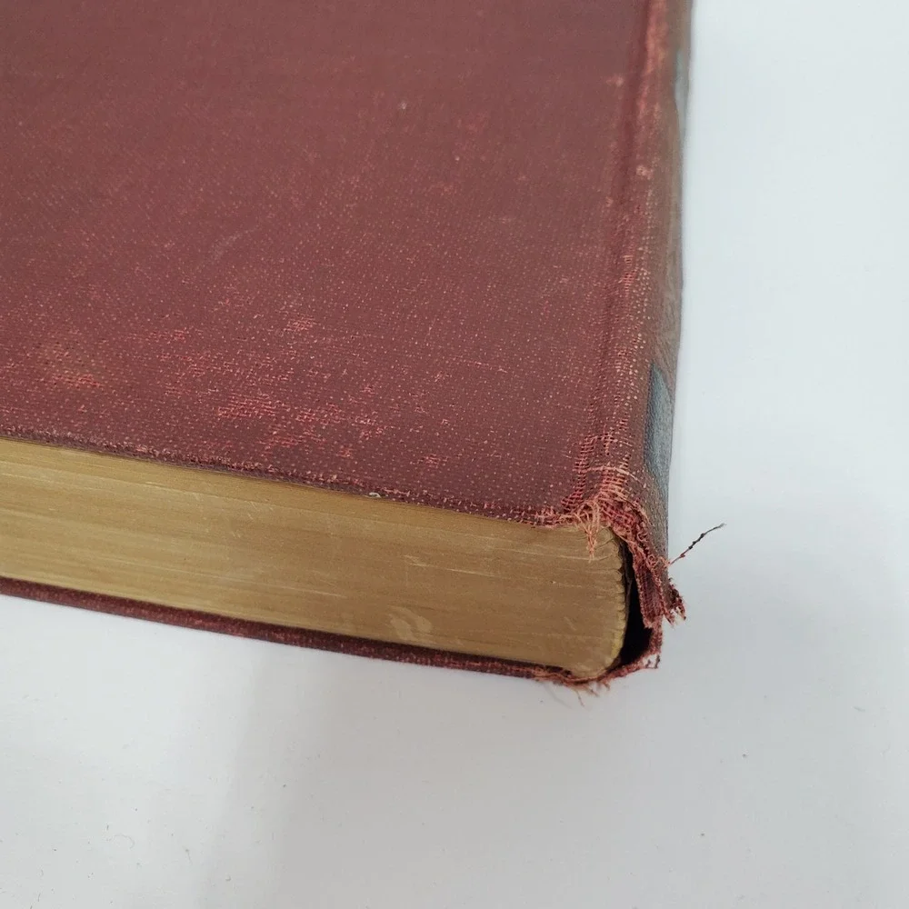 Charles Dickens Hard Times Pictures From Italy‎ Volume XII Antique Book